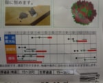 3月までトンネル栽培