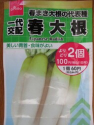 春大根の種ダイソー